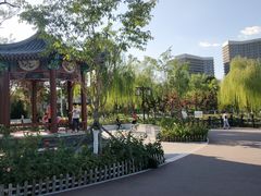 -西海子公园