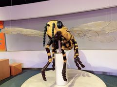 -陕西自然博物馆