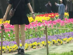 -沈阳植物园