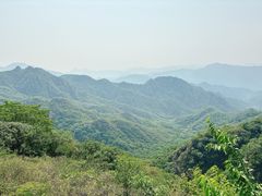 -大岭沟猕猴桃谷风景区