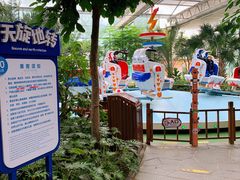 -南宫五洲植物乐园