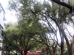 -杭州半山国家森林公园