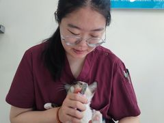 -美联众合动物医院·24h京西诊疗中心