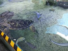 -鸿通城购物中心