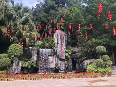 -广州市流溪河国家森林公园