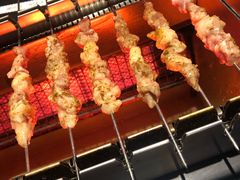 呼伦贝尔羊肉串-很久以前羊肉串(京汉店)