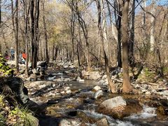 -玉渡山自然风景区