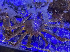 -晶渔坊·海鲜私房菜(东夷小镇店)