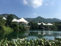 -帐篷客·溪龙茶谷度假酒店