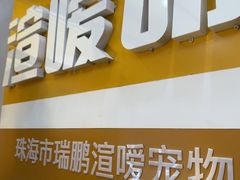 -渲嗳动物医院(异宠·复杂内科转诊中心·玖洲道富华里分院)