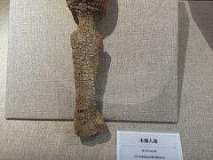 -巴音郭楞蒙古自治州博物馆