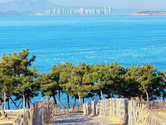 -郑庄脂渣海鲜楼(九水路店)
