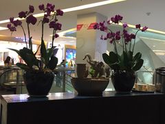 -美奈小馆·越南料理(福田星河COCO Park店)