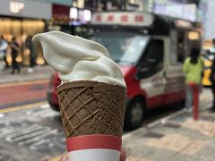 -富豪雪糕车流动点(尖沙咀店)