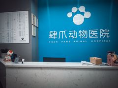 -福州肆爪动物医院