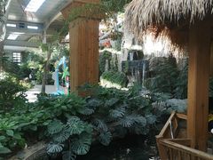 -南宫五洲植物乐园