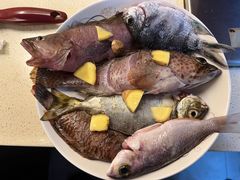 -小猫钓鱼海钓俱乐部(椰梦长廊店)