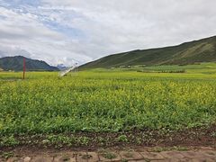 -扁都口生态休闲旅游区