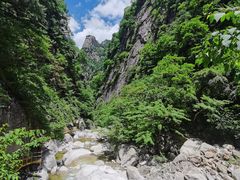 -青峰峡国家森林公园