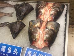 -双井轩(双井店)