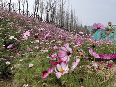 -河南工业大学(莲花街校区)