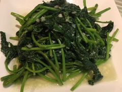 红薯叶-金鼎轩(亚运村店)