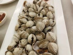 -华盛丰温州大排档(东三环南路店)