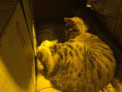 -在路上酒吧(大理古城店)