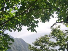 -王顺山国家森林公园