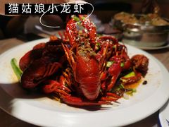 -猫姑娘大盘鸡(商城路店)