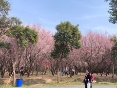 -蜀冈西峰生态公园