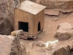 -昆明动物园
