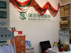 -瑞派天宁宠物医院·猫科·异宠中心