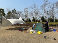 -春花秋色城市公园