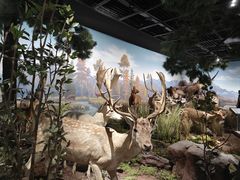 -陕西自然博物馆