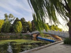 -长春市南湖公园