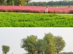 -汉长安城未央宫国家考古遗址公园