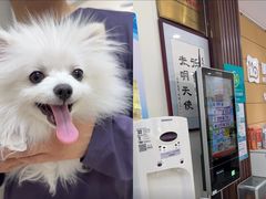 -美联众合动物医院·24h京西诊疗中心