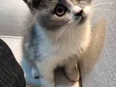 -昆山招商花园城
