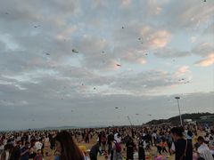 -巨鹏飞梦幻海岸