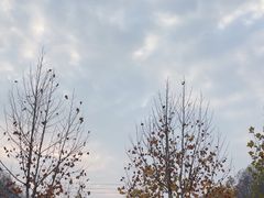 -栾川竹海野生动物园