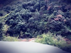 -大罗山风景区