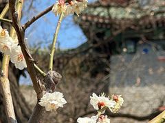 -北京明城墙遗址公园