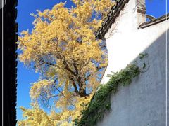 -惠山古镇·寄畅园