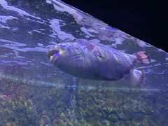 -江和美海洋公园