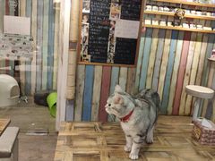 -小时光咖啡馆(开森度假森林店)