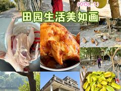 -开平碉楼文化旅游区马降龙景区