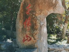 -千佛山风景名胜区