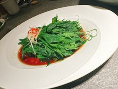 白灼丝瓜尖-马旺子·川小馆