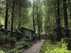 -林间山庄